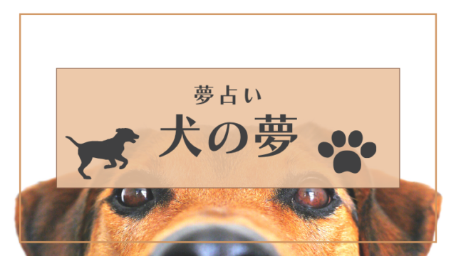 夢占い 犬の夢の意味とは 飼う なつく 追いかけられるなどパターン別にご紹介 Supimin