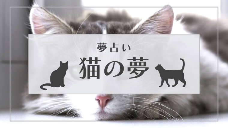 夢占い 猫の夢の意味46選 なつく 噛まれる 拾うなどパターン別にご紹介します Supimin