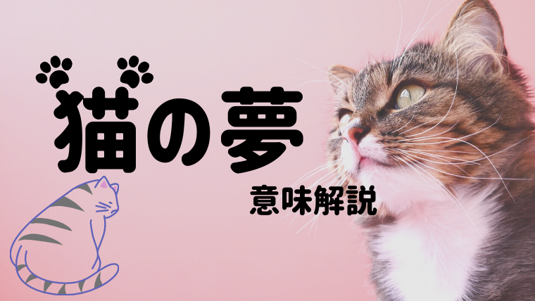夢占い】猫の夢の意味46選!なつく・噛まれる・拾うなどパターン別にご