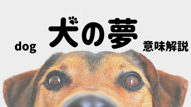 夢占い 犬の夢の意味とは 飼う なつく 追いかけられるなどパターン別にご紹介 夢占い 心理学 スピリチュアル情報発信サイト