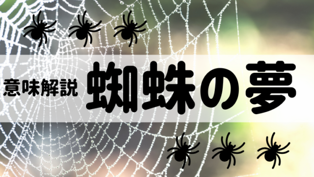 夢占い 蜘蛛の夢とは 噛まれる 食われる 殺すなどパターン別にご紹介します 夢占い 心理学 スピリチュアル情報発信サイト