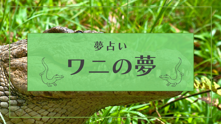 夢占い ワニの夢42選 宝くじ 色 噛まれる 食べられるなどパターン別にご紹介します Supimin