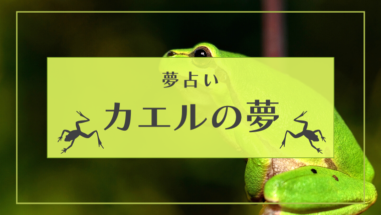 夢占い カエルの夢の意味42選 金色 きれい 跳ねる 捕まえるなどパターン別にご紹介します Supimin