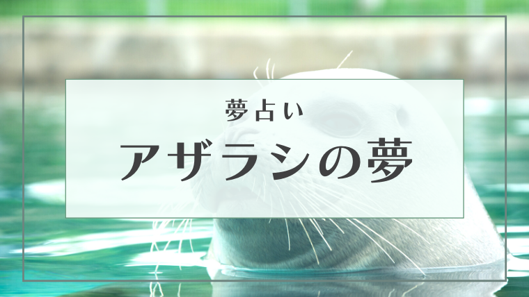 夢占い アザラシの夢の意味17選 見る 逃げる 泳ぐ 食べるなどパターン別にご紹介します Supimin