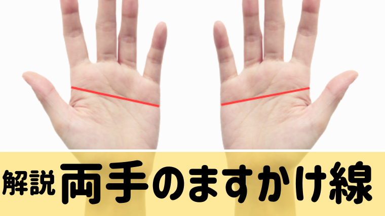 手相占い ますかけ線が両手にある人の恋愛運 適職 性格とは一体 Supimin