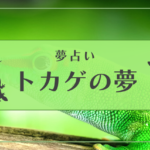 トカゲ　夢占い
