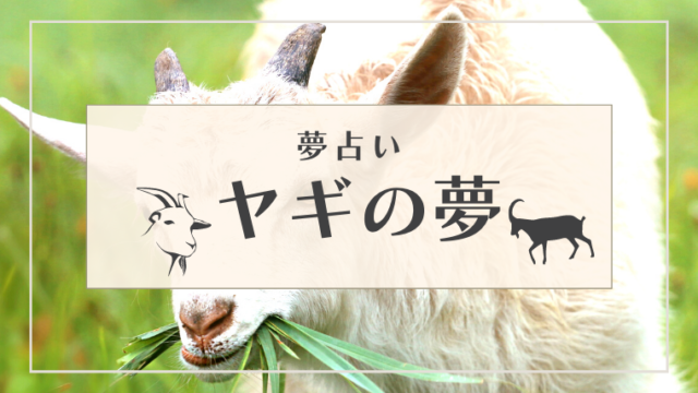 夢占い ヤギの夢の意味18選 飼う 食べる 赤ちゃん 角などパターン別にご紹介 Supimin