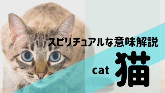 猫のスピリチュアルな意味とは 幸運を運ぶ幸せのメッセージとは 夢占い 心理学 スピリチュアル情報発信サイト