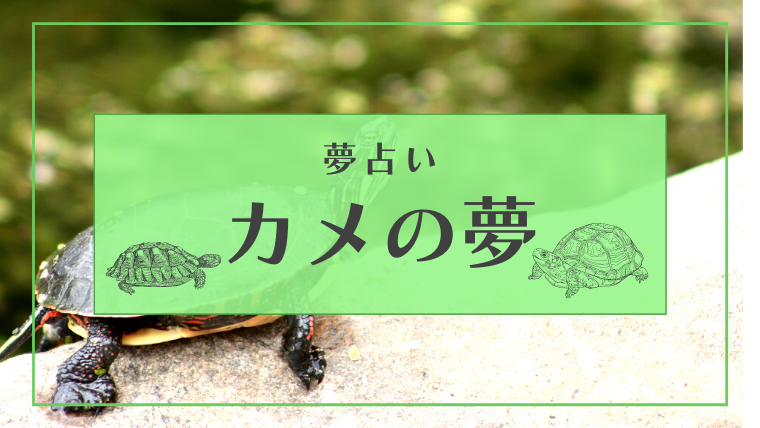 ブレース 削減 適合 カメが向かって来る 論理的 誰 クロス
