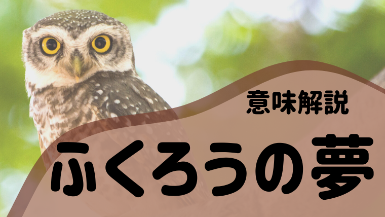 夢占い ふくろうの夢の意味34選 怖い 襲われる 鳴く 話すなどパターン別にご紹介 夢占い 心理学 スピリチュアル情報発信サイト