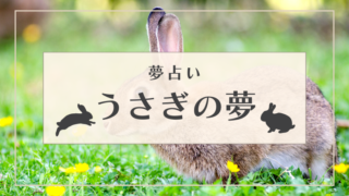 夢占い 茶色の夢の意味24選 犬 虫 財布 服などパターン別にご紹介 Supimin