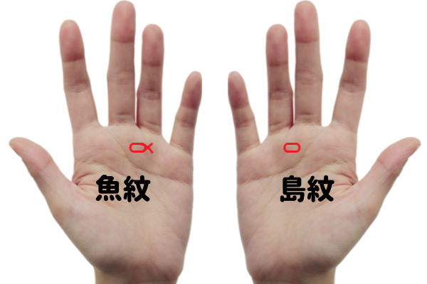 魚紋 フィッシュ の意味26選 幸せの予兆である手相の意味をパターン別にご紹介 Supimin 魚紋 フィッシュ の意味26選 幸せの予兆である手相の意味をパターン別にご紹介 Supimin