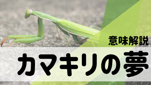 洞窟 タグの記事一覧 夢占い 心理学 スピリチュアル情報発信サイト