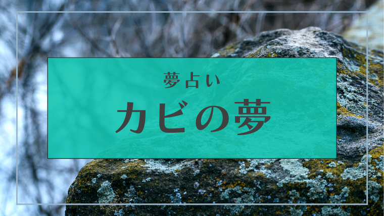 夢占い カビの夢の意味35選 食べる 生える 掃除するなどパターン別にご紹介 Supimin