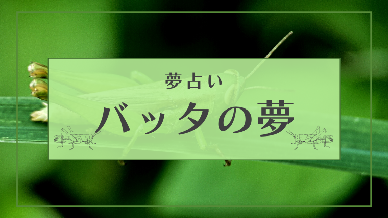 夢占い バッタの夢の意味23選 大量発生 家 畑などパターン別にご紹介 Supimin