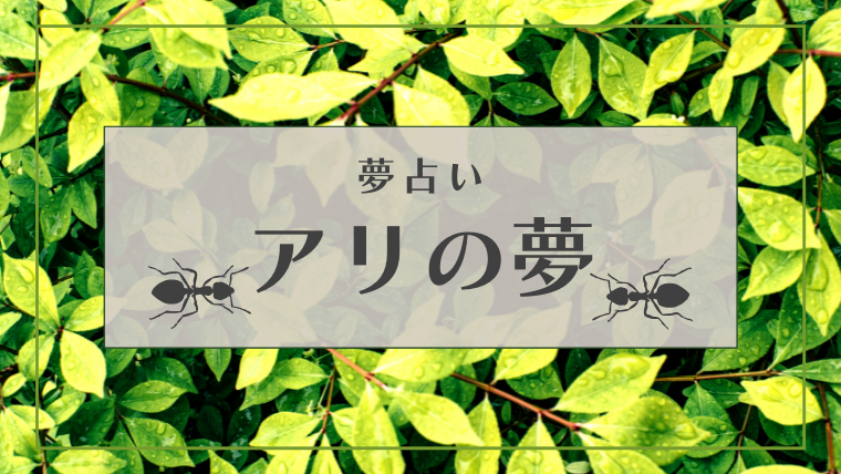 夢占い 白色の夢の意味36選 花 犬 猫 蛇 服などパターン別にご紹介 Supimin