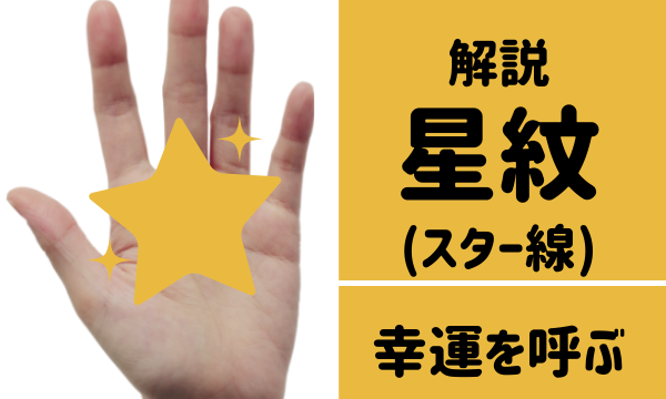 手相占い 星紋 スター線 の意味23選 位置や宝くじ 太陽丘など 夢占い 心理学 スピリチュアル情報発信サイト 手相占い 星紋 スター線 の意味23選 位置や宝くじ 太陽丘など 夢占い 心理学 スピリチュアル情報発信サイト