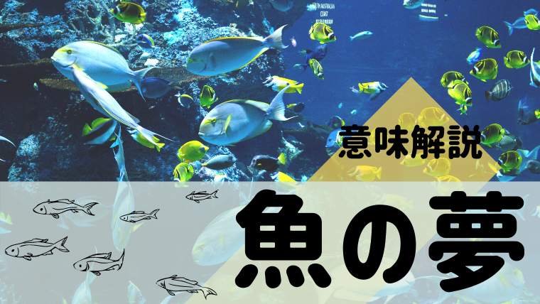 夢占い 魚の夢の意味61選 水槽 魚釣り 助ける 食べなどパターン別にご紹介 夢占い 心理学 スピリチュアル情報発信サイト