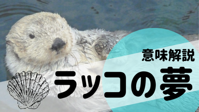 夢占い ラッコの夢の意味21選 水族館 抱き 泳ぐ 赤ちゃんなどパターン別にご紹介 夢占い 心理学 スピリチュアル情報発信サイト