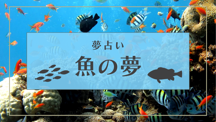 夢占い 魚の夢の意味61選 水槽 魚釣り 助ける 食べなどパターン別にご紹介 Supimin