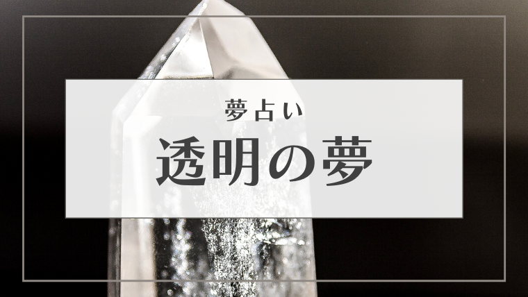 夢占い 透明の夢22選 海 蛇 ゴキブリ 現れる 逃げるなどパターン別にご紹介 Supimin