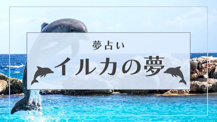 夢占い イルカの夢の意味48選 触る ジャンプ 助けるなどパターン別にご紹介 Supimin