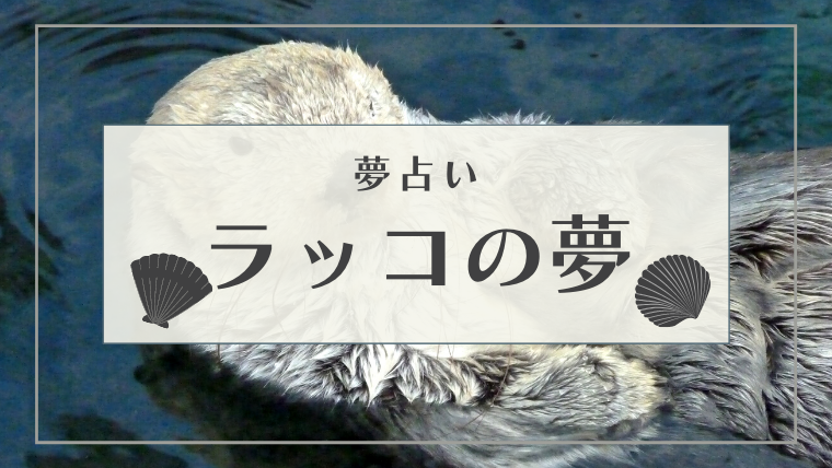 夢占い　ラッコ