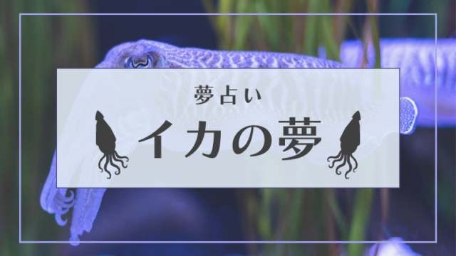 夢占い イカの夢の意味31選 釣る 食べる 泳ぐ 墨 襲われるなどパターン別にご紹介 Supimin