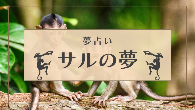 夢占い サルの夢の意味50選 赤ちゃん なつく 飼う 死ぬなどパターン別にご紹介 Supimin