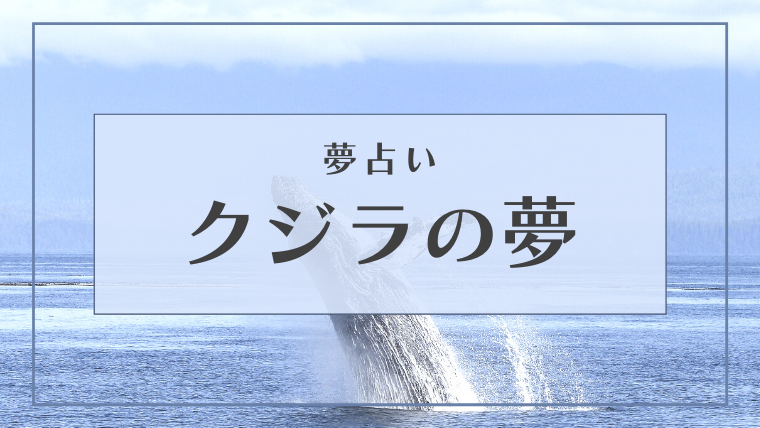 夢占い クジラの夢の意味43選 空 ジャンプ イルカ 乗るなどパターン別にご紹介 Supimin