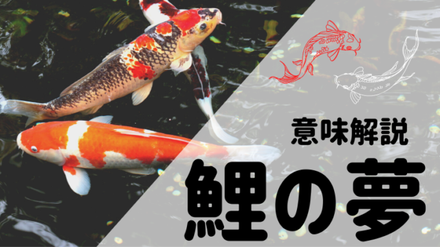 夢占い 鯉の夢の意味35選 鯉のぼり 水槽 死ぬ 釣るなどパターン別にご紹介 夢占い 心理学 スピリチュアル情報発信サイト