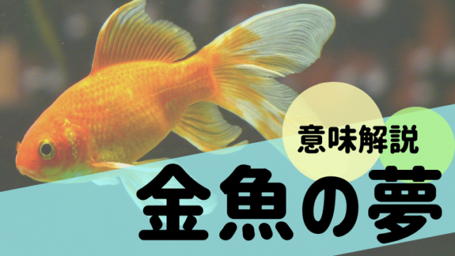 夢占い 金魚の夢の意味50選 大きい 水槽 助ける 食べるなどパターン別にご紹介 夢占い 心理学 スピリチュアル情報発信サイト