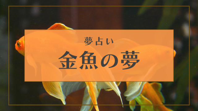 夢占い 金魚の夢の意味50選 大きい 水槽 助ける 食べるなどパターン別にご紹介 Supimin