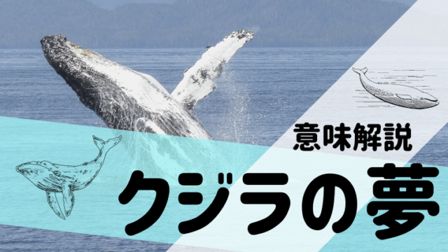 夢占い 釣りの夢の意味54選 イカ タイ 人 針 道具 サメなどパターン別にご紹介 夢占い 心理学 スピリチュアル情報発信サイト