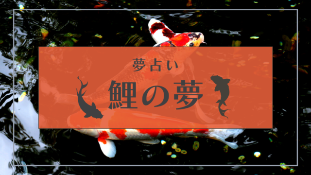 夢占い 鯉の夢の意味35選 鯉のぼり 水槽 死ぬ 釣るなどパターン別にご紹介 Supimin