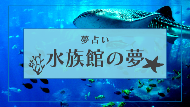 夢占い 水族館の夢の意味34選 怖い イルカ ペンギンなどパターン別にご紹介 Supimin