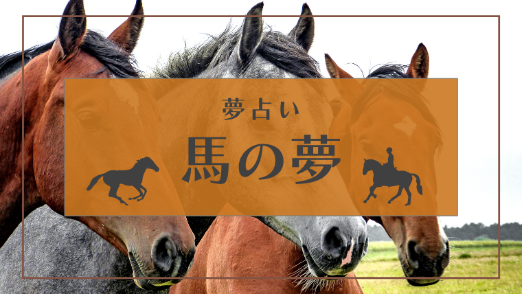 夢占い 馬の夢の意味60選 馬車 怪我 死ぬ 死骸 飼うなどパターン別にご紹介 Supimin