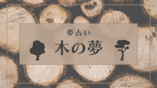 夢占い 雷の夢は幸運の兆し 警告の意味も含まれている パターン別に夢占いの結果をご紹介 Supimin