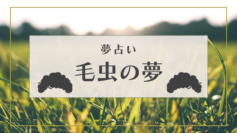 夢占い 毛虫の夢の意味33選 白い カラフル 刺される 殺すなどパターン別にご紹介 Supimin